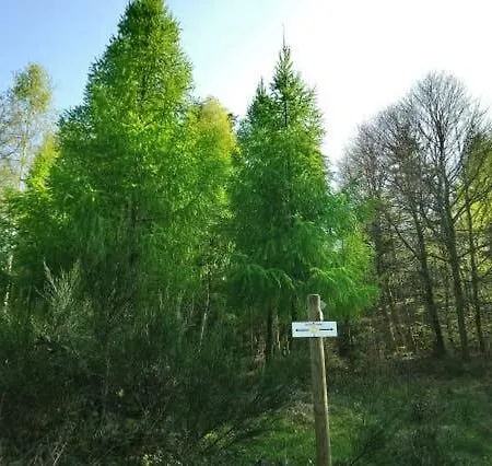 Au Coeur Des Sapins منزل للإقامة Abreschviller