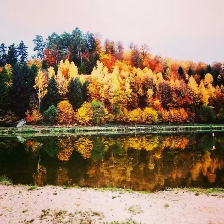 Au Coeur Des Sapins * Abreschviller