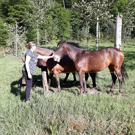 Rum i privatbostad Au Coeur Des Sapins *